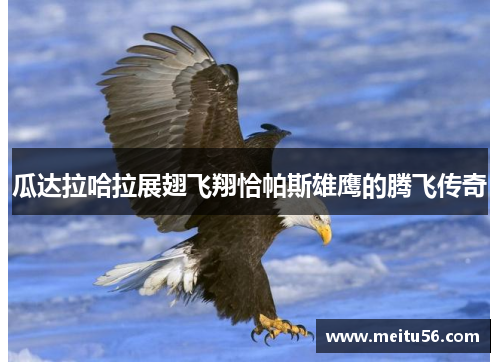 瓜达拉哈拉展翅飞翔恰帕斯雄鹰的腾飞传奇