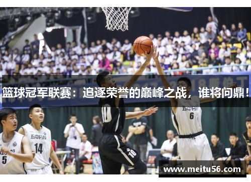 篮球冠军联赛：追逐荣誉的巅峰之战，谁将问鼎！